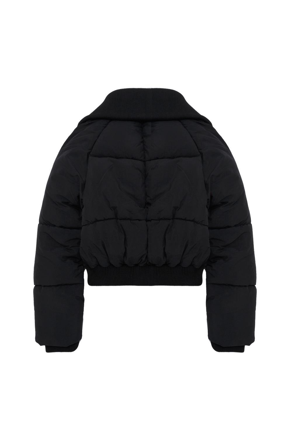 pack_back_JQqxY6Jk5btJEbJypV39iRZEAyG_preview.jpg