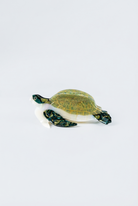 PINZA FORMA tortuga