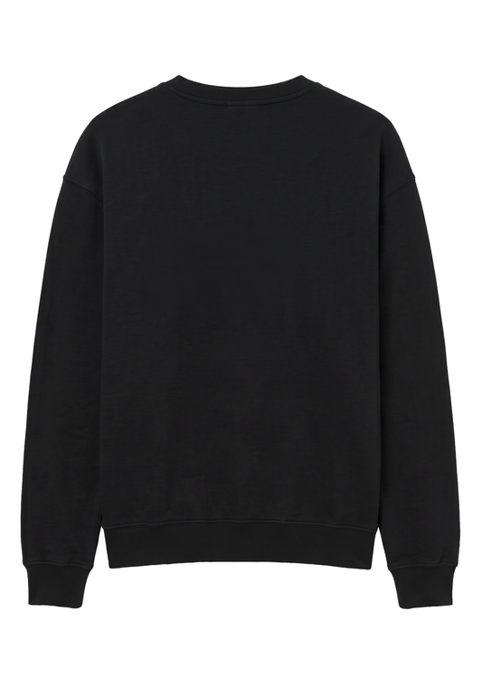 pack_back_gKpZqJaPG1IBaemWKwbaIrp5qBj_preview.png