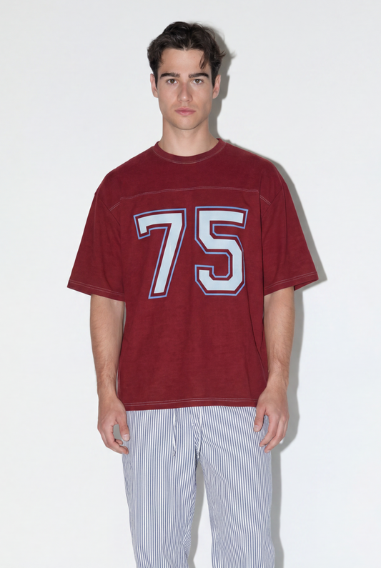 Camiseta Regular Gráfico