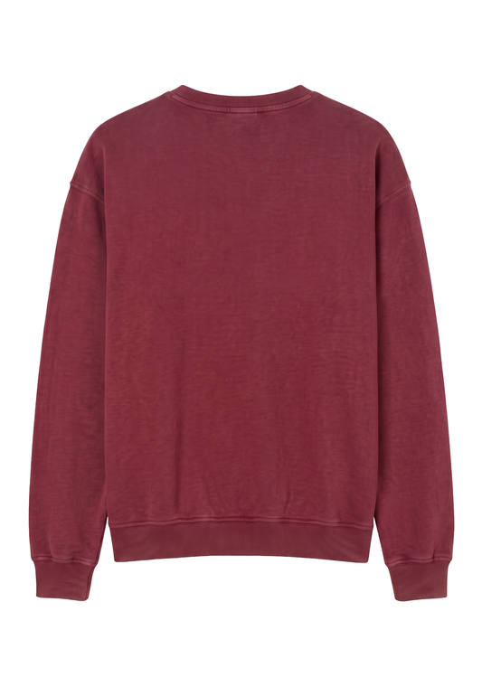 pack_back_oM3GXXkDnBCyVvRgalbzT635v0w_preview.png